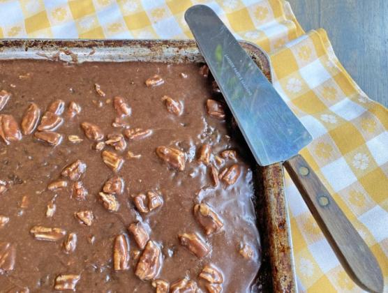 Chocolate sheet cake a welcome addition to any picnic